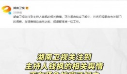 娱乐吃瓜小号,吃瓜小号带你探秘明星幕后故事
